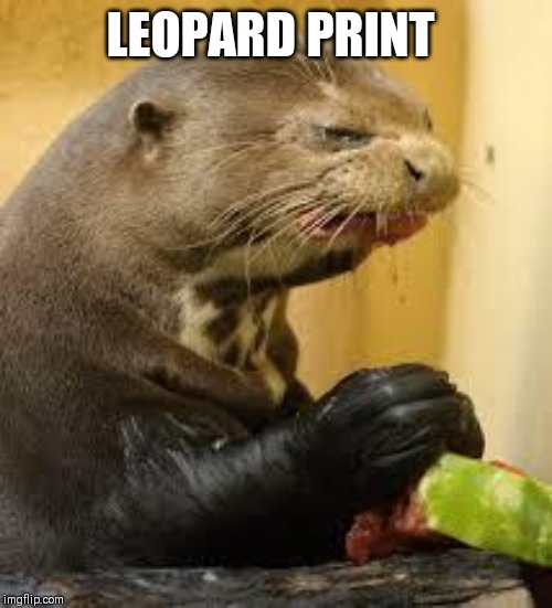 Disgusted Otter | LEOPARD PRINT | image tagged in disgusted otter | made w/ Imgflip meme maker