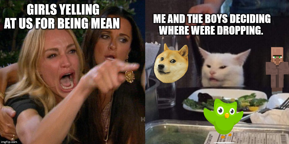 Woman yelling at cat | ME AND THE BOYS DECIDING WHERE WERE DROPPING. GIRLS YELLING AT US FOR BEING MEAN | image tagged in woman yelling at cat | made w/ Imgflip meme maker