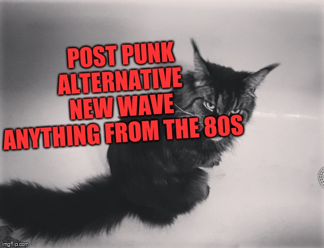 Metal Cat | POST PUNK
ALTERNATIVE 
NEW WAVE 
ANYTHING FROM THE 80S | image tagged in metal cat | made w/ Imgflip meme maker
