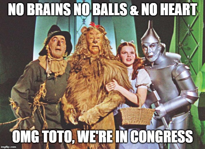 The wizard | NO BRAINS NO BALLS & NO HEART; OMG TOTO, WE'RE IN CONGRESS | image tagged in congress,wizard of oz,american politics | made w/ Imgflip meme maker