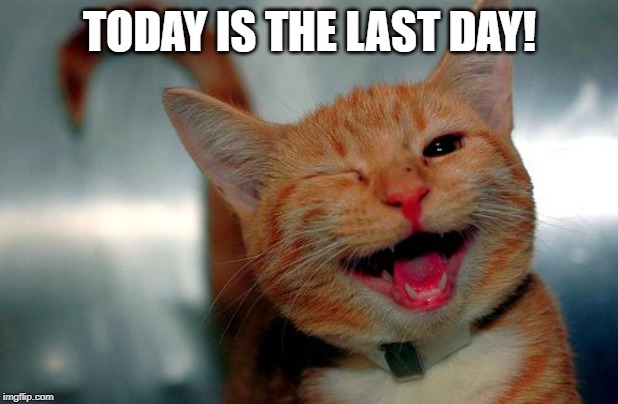 winky kitty | TODAY IS THE LAST DAY! | image tagged in winky kitty | made w/ Imgflip meme maker