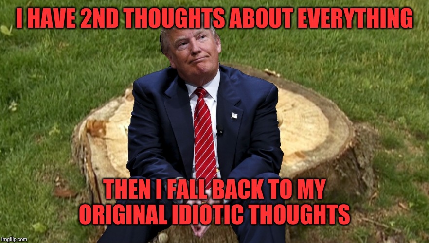 Trump on a stump | I HAVE 2ND THOUGHTS ABOUT EVERYTHING; THEN I FALL BACK TO MY ORIGINAL IDIOTIC THOUGHTS | image tagged in trump on a stump | made w/ Imgflip meme maker