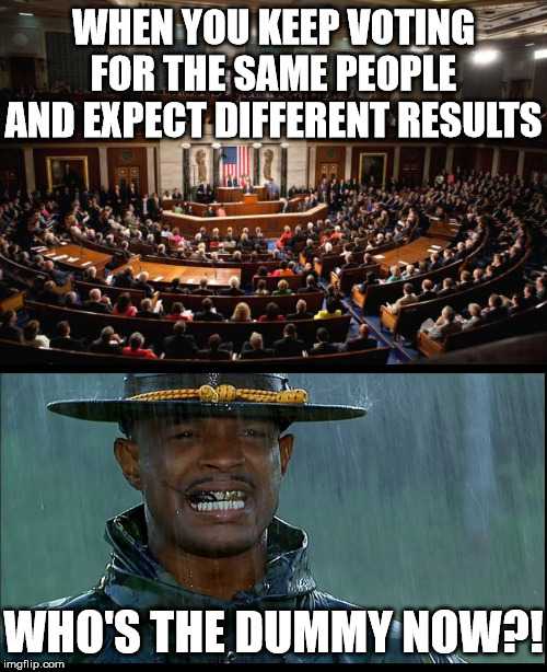 Voting Doesn't Really Matter | WHEN YOU KEEP VOTING FOR THE SAME PEOPLE AND EXPECT DIFFERENT RESULTS; WHO'S THE DUMMY NOW?! | image tagged in congress,memes,major payne,vote,the rock it doesnt matter,not so different | made w/ Imgflip meme maker