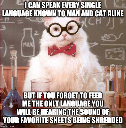 Science Cat | I CAN SPEAK EVERY SINGLE LANGUAGE KNOWN TO MAN AND CAT ALIKE; BUT IF YOU FORGET TO FEED ME THE ONLY LANGUAGE YOU WILL BE HEARING THE SOUND OF YOUR FAVORITE SHEETS BEING SHREDDED | image tagged in science cat | made w/ Imgflip meme maker