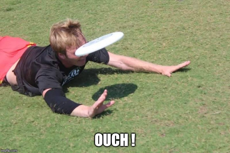 Play Frisbee They Said | OUCH ! | image tagged in play frisbee they said | made w/ Imgflip meme maker