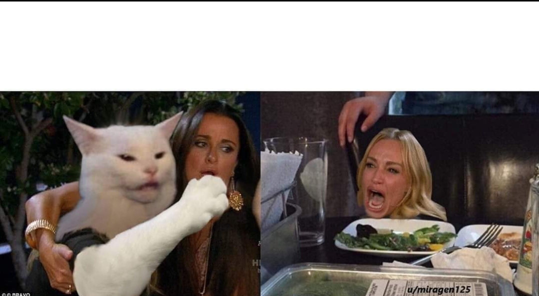 High Quality woman and cat Blank Meme Template