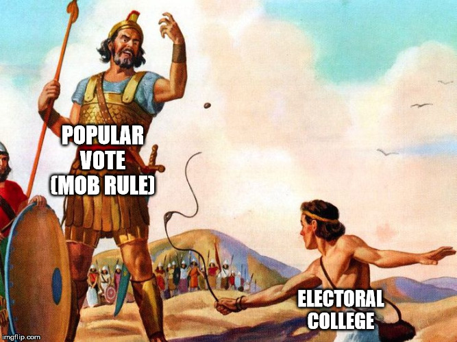 Popular Vote: As Bad for America Today as it was in 1787 | POPULAR VOTE (MOB RULE); ELECTORAL COLLEGE | image tagged in david and goliath,electoral college | made w/ Imgflip meme maker