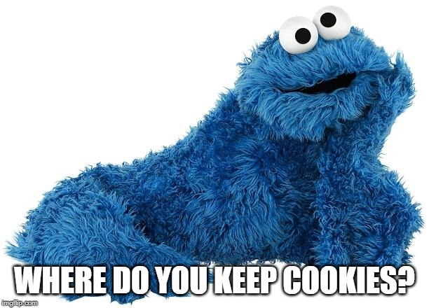 Cookie Monster | WHERE DO YOU KEEP COOKIES? | image tagged in cookie monster | made w/ Imgflip meme maker