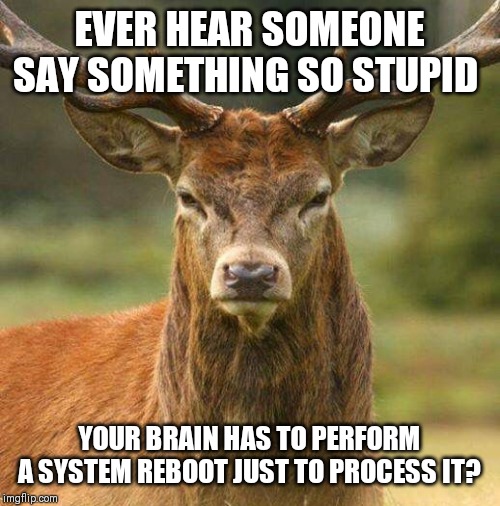 In real life or online what's the most ridiculous thing you've ever heard/read? | EVER HEAR SOMEONE SAY SOMETHING SO STUPID; YOUR BRAIN HAS TO PERFORM A SYSTEM REBOOT JUST TO PROCESS IT? | image tagged in special kind of stupid | made w/ Imgflip meme maker