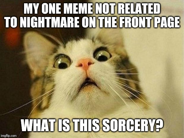 Scared Cat | MY ONE MEME NOT RELATED TO NIGHTMARE ON THE FRONT PAGE; WHAT IS THIS SORCERY? | image tagged in memes,scared cat | made w/ Imgflip meme maker