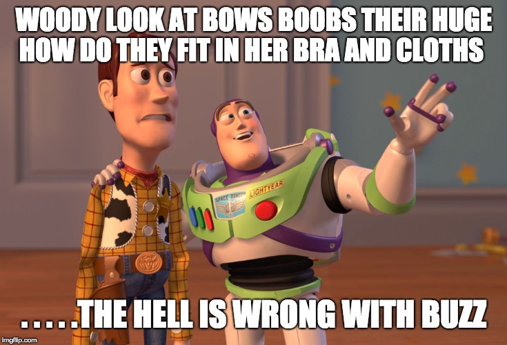 X, X Everywhere Meme | WOODY LOOK AT BOWS BOOBS THEIR HUGE HOW DO THEY FIT IN HER BRA AND CLOTHS; . . . . .THE HELL IS WRONG WITH BUZZ | image tagged in memes,x x everywhere | made w/ Imgflip meme maker