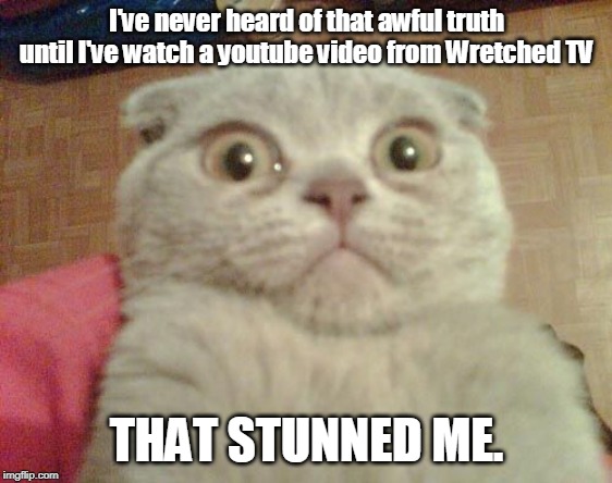 Stunned Cat | I've never heard of that awful truth until I've watch a youtube video from Wretched TV THAT STUNNED ME. | image tagged in stunned cat | made w/ Imgflip meme maker