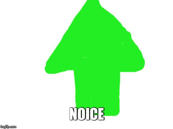 Blank White Template | NOICE | image tagged in blank white template | made w/ Imgflip meme maker