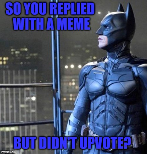 uh..... | SO YOU REPLIED  WITH A MEME; BUT DIDN'T UPVOTE? | image tagged in batman the look you give | made w/ Imgflip meme maker