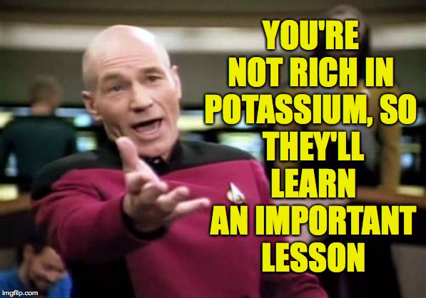 Picard Wtf Meme | YOU'RE NOT RICH IN POTASSIUM, SO THEY'LL LEARN AN IMPORTANT
LESSON | image tagged in memes,picard wtf | made w/ Imgflip meme maker