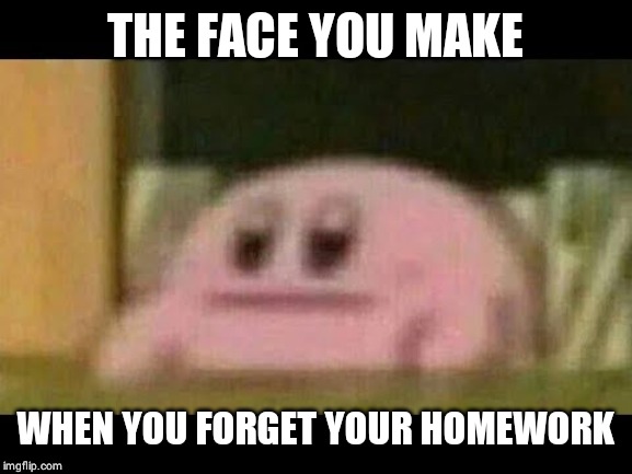 Kirby derp-face  | THE FACE YOU MAKE; WHEN YOU FORGET YOUR HOMEWORK | image tagged in kirby derp-face | made w/ Imgflip meme maker