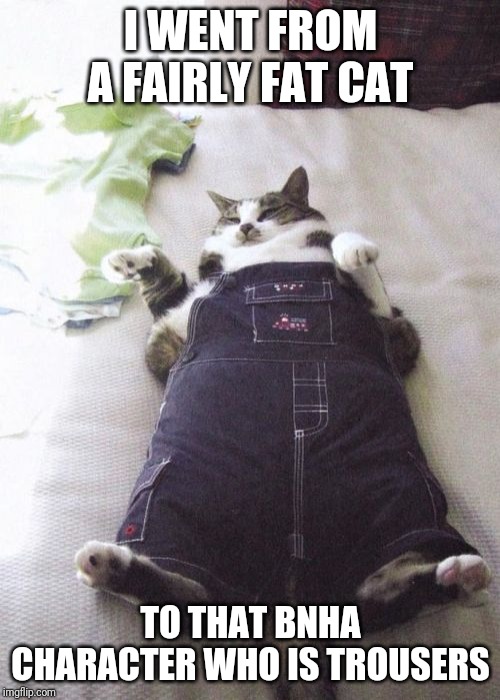 Fat Cat | I WENT FROM A FAIRLY FAT CAT; TO THAT BNHA CHARACTER WHO IS TROUSERS | image tagged in memes,fat cat | made w/ Imgflip meme maker