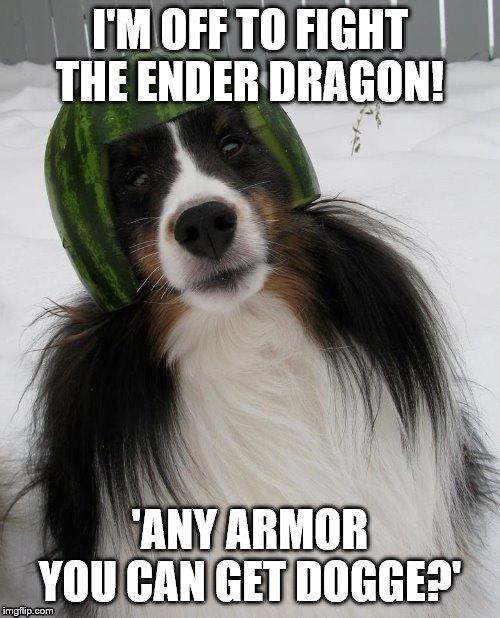 I'M OFF TO FIGHT THE ENDER DRAGON! 'ANY ARMOR YOU CAN GET DOGGE?' | image tagged in minecrafter,funny dogs | made w/ Imgflip meme maker