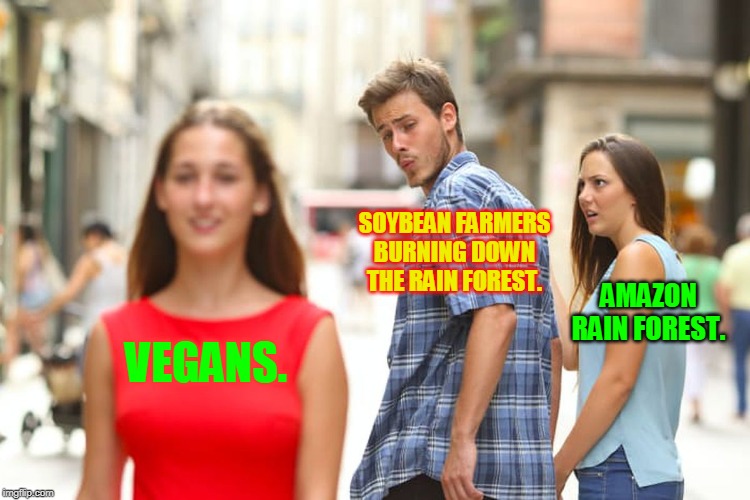 Distracted Boyfriend Meme | SOYBEAN FARMERS BURNING DOWN THE RAIN FOREST. AMAZON RAIN FOREST. VEGANS. | image tagged in memes,distracted boyfriend | made w/ Imgflip meme maker