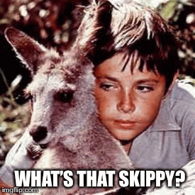 What’s that skippy? | WHAT’S THAT SKIPPY? | image tagged in gifs | made w/ Imgflip images-to-gif maker