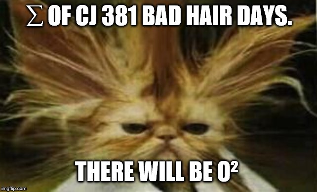 Bad Hair Day Cat | ∑ OF CJ 381 BAD HAIR DAYS. THERE WILL BE O² | image tagged in bad hair day cat | made w/ Imgflip meme maker