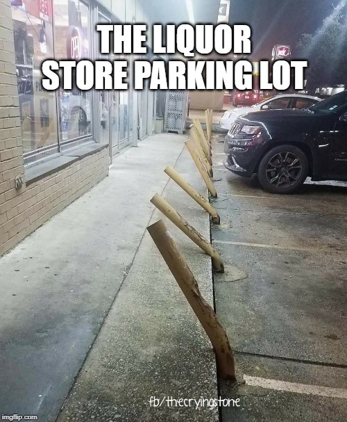 THE LIQUOR STORE PARKING LOT | image tagged in liquor store | made w/ Imgflip meme maker