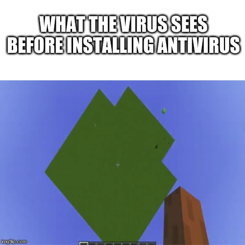 I AM PROTO | WHAT THE VIRUS SEES BEFORE INSTALLING ANTIVIRUS | image tagged in falling to death,minecraft,virus,antivirus,protegent,steve | made w/ Imgflip meme maker