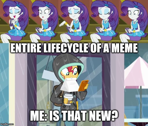 ENTIRE LIFECYCLE OF A MEME; ME: IS THAT NEW? | image tagged in equestria girls,my little pony,meme week | made w/ Imgflip meme maker