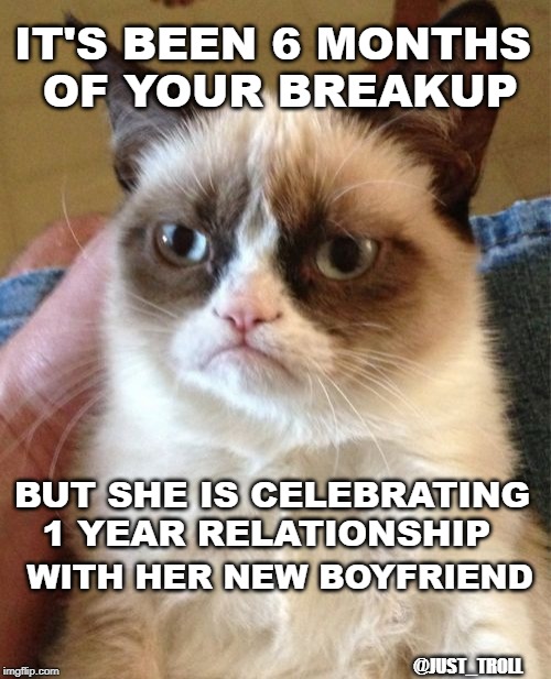 Grumpy Cat Meme | IT'S BEEN 6 MONTHS
 OF YOUR BREAKUP; BUT SHE IS CELEBRATING 1 YEAR RELATIONSHIP; WITH HER NEW BOYFRIEND; @JUST_TROLL | image tagged in memes,grumpy cat | made w/ Imgflip meme maker