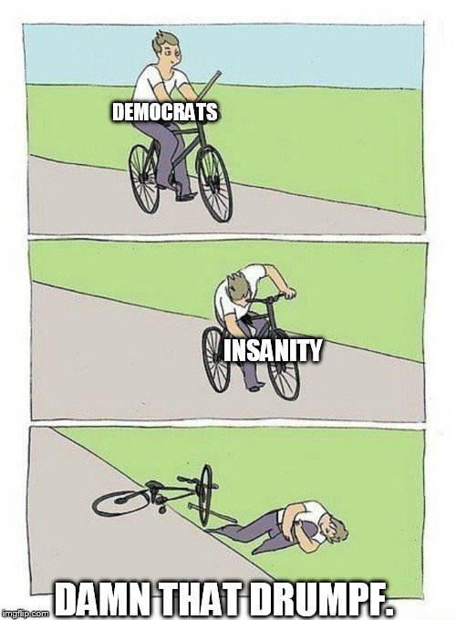 They cannot even manage to be less cray that Trump. | DEMOCRATS; INSANITY; DAMN THAT DRUMPF. | image tagged in bike fall | made w/ Imgflip meme maker