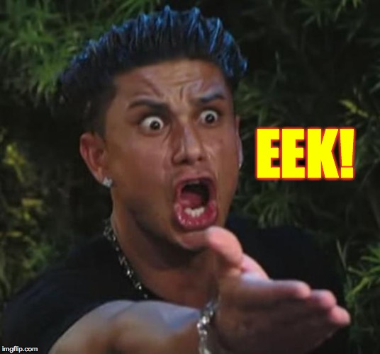 DJ Pauly D Meme | EEK! | image tagged in memes,dj pauly d | made w/ Imgflip meme maker