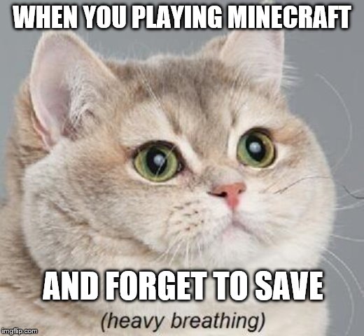 nooooooooooo | WHEN YOU PLAYING MINECRAFT; AND FORGET TO SAVE | image tagged in memes,heavy breathing cat | made w/ Imgflip meme maker