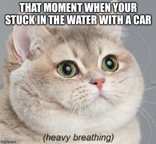 Heavy Breathing Cat | THAT MOMENT WHEN YOUR STUCK IN THE WATER WITH A CAR | image tagged in memes,heavy breathing cat | made w/ Imgflip meme maker