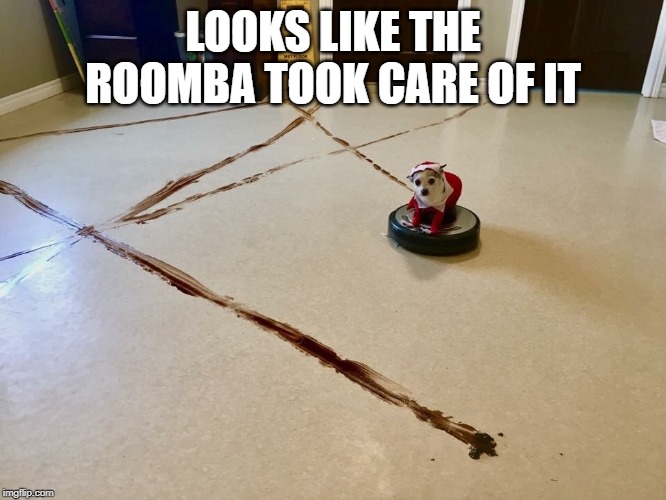 Roomba Poop | LOOKS LIKE THE ROOMBA TOOK CARE OF IT | image tagged in roomba poop | made w/ Imgflip meme maker