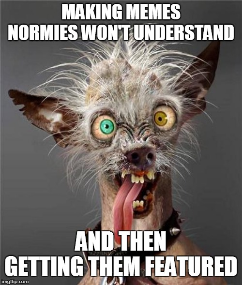 MAKING MEMES NORMIES WON'T UNDERSTAND AND THEN GETTING THEM FEATURED | made w/ Imgflip meme maker