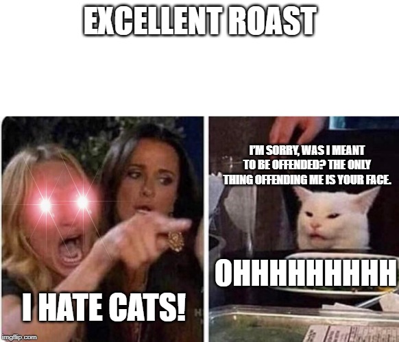 Lady screams at cat | EXCELLENT ROAST; I’M SORRY, WAS I MEANT TO BE OFFENDED? THE ONLY THING OFFENDING ME IS YOUR FACE. I HATE CATS! OHHHHHHHHH | image tagged in lady screams at cat | made w/ Imgflip meme maker