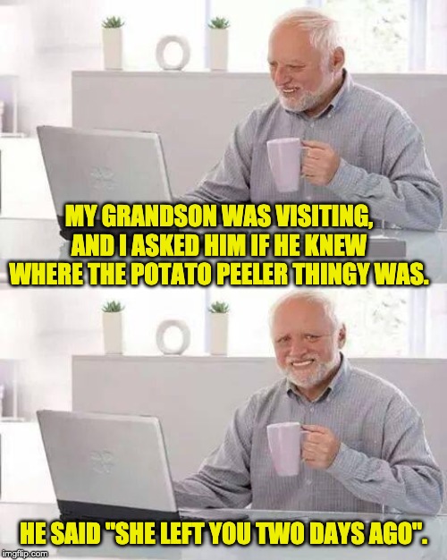 Hide the Pain Harold | MY GRANDSON WAS VISITING, AND I ASKED HIM IF HE KNEW WHERE THE POTATO PEELER THINGY WAS. HE SAID "SHE LEFT YOU TWO DAYS AGO". | image tagged in memes,hide the pain harold | made w/ Imgflip meme maker