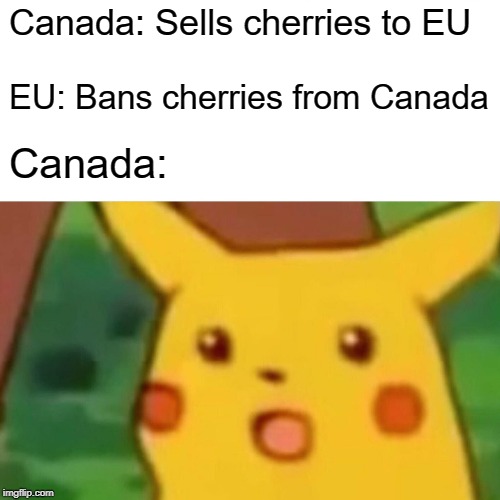 Surprised Pikachu | Canada: Sells cherries to EU; EU: Bans cherries from Canada; Canada: | image tagged in memes,surprised pikachu | made w/ Imgflip meme maker