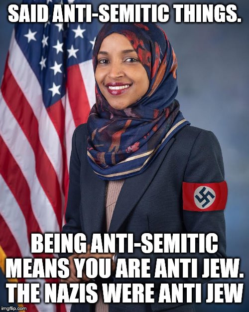 The ironic thing is Nazis also hate her kind. | SAID ANTI-SEMITIC THINGS. BEING ANTI-SEMITIC MEANS YOU ARE ANTI JEW. THE NAZIS WERE ANTI JEW | image tagged in ilhan omar,stupid liberals,liberal hypocrisy,jews,anti semitism | made w/ Imgflip meme maker