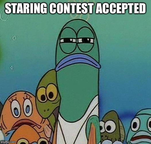 SpongeBob | STARING CONTEST ACCEPTED | image tagged in spongebob | made w/ Imgflip meme maker