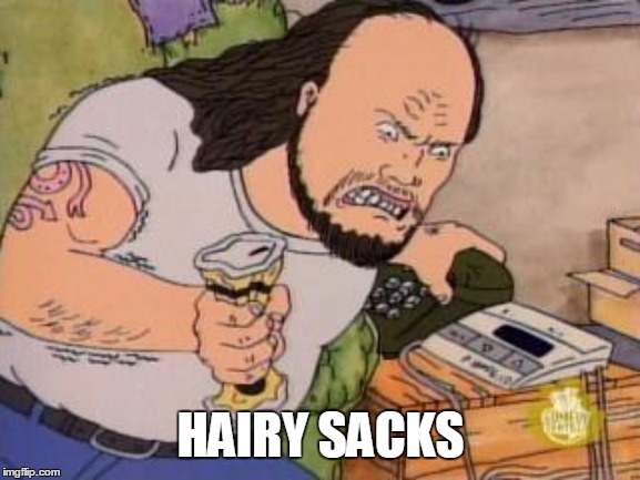 Hairy Sacks | HAIRY SACKS | image tagged in beavis and butthead | made w/ Imgflip meme maker