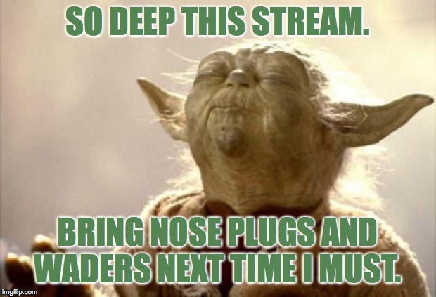 yoda smell | SO DEEP THIS STREAM. BRING NOSE PLUGS AND WADERS NEXT TIME I MUST. | image tagged in yoda smell,memes,nose plugs yes,politics | made w/ Imgflip meme maker