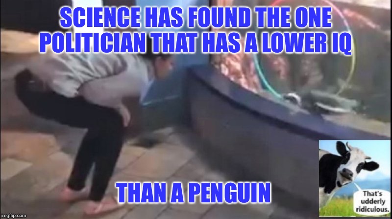AOC | SCIENCE HAS FOUND THE ONE POLITICIAN THAT HAS A LOWER IQ; THAN A PENGUIN | image tagged in aoc | made w/ Imgflip meme maker