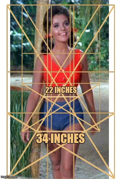 Dawn Wells A.K.A. Mary Ann on Gilligan's Island. Waist-Hip measurements with a Golden Ratio overlay. | 22 INCHES; 34 INCHES | image tagged in the golden ratio,dawn wells,body measurements,waist to hip | made w/ Imgflip meme maker
