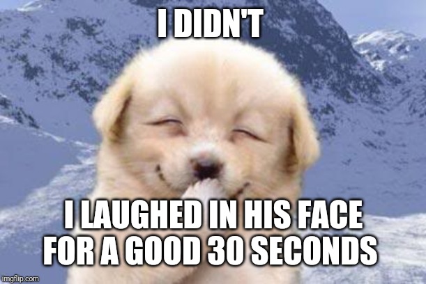 Laughing dog | I DIDN'T I LAUGHED IN HIS FACE FOR A GOOD 30 SECONDS | image tagged in laughing dog | made w/ Imgflip meme maker