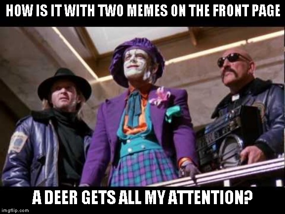 Guess what I just finished rewatching (Hi Timid, nice night?) | HOW IS IT WITH TWO MEMES ON THE FRONT PAGE; A DEER GETS ALL MY ATTENTION? | image tagged in joker - wonderful toys blank,just a joker | made w/ Imgflip meme maker