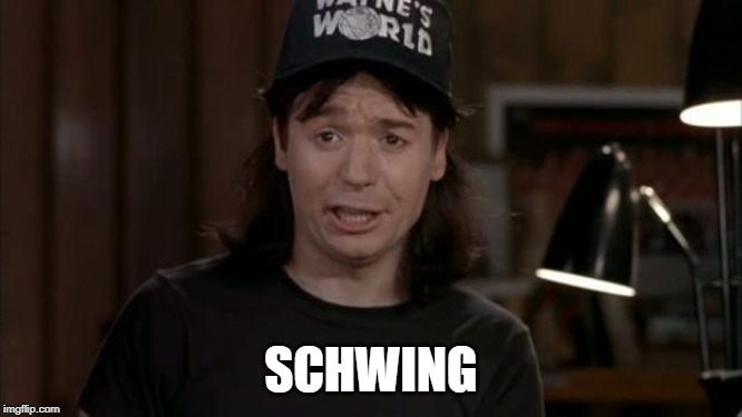 Wayne's World Discovery | SCHWING | image tagged in wayne's world discovery | made w/ Imgflip meme maker