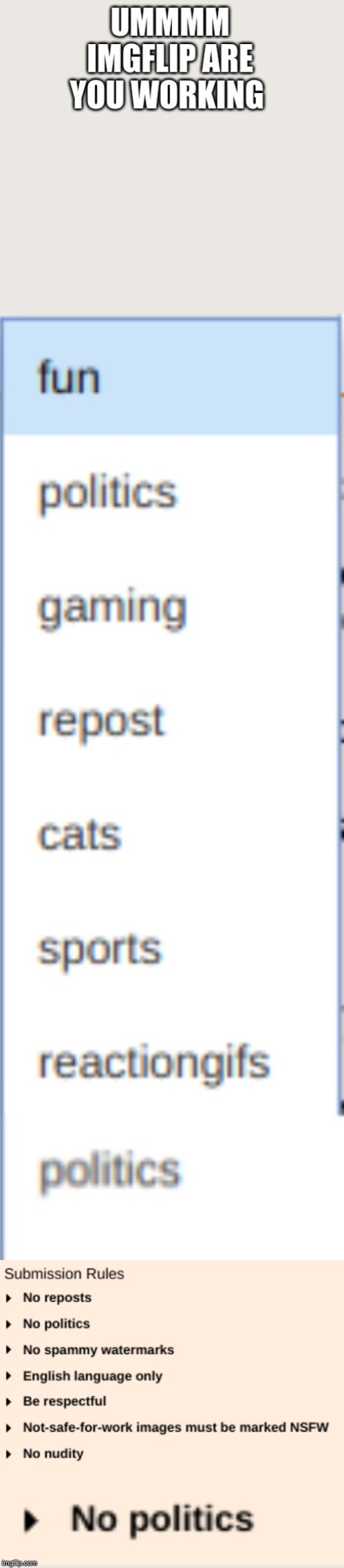 imgflip rules | image tagged in rules,hmmm | made w/ Imgflip meme maker