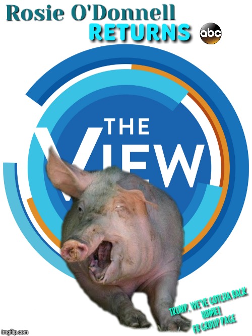 Rosie O'Donnell Returns to The View | image tagged in abc,pig,fat,donald trump,ugly,president | made w/ Imgflip meme maker