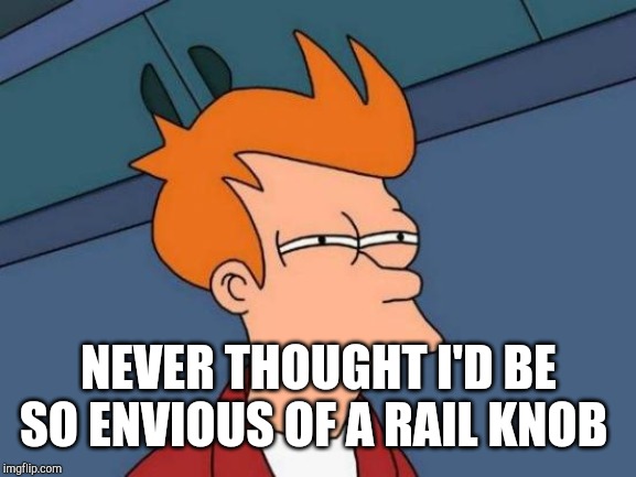 Futurama Fry Meme | NEVER THOUGHT I'D BE SO ENVIOUS OF A RAIL KNOB | image tagged in memes,futurama fry | made w/ Imgflip meme maker